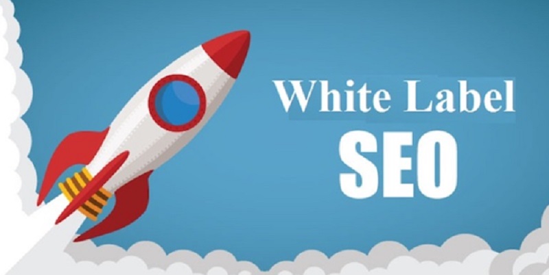What Are White Label SEO Services and How Can They Benefit You
