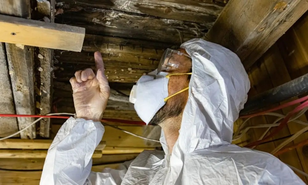 The Importance of Asbestos Testing for Indoor Air Quality